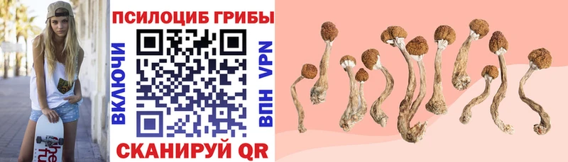 ОМГ ОМГ tor  Тетюши  маркетплейс официальный сайт  дарнет шоп  Галлюциногенные грибы прущие грибы 